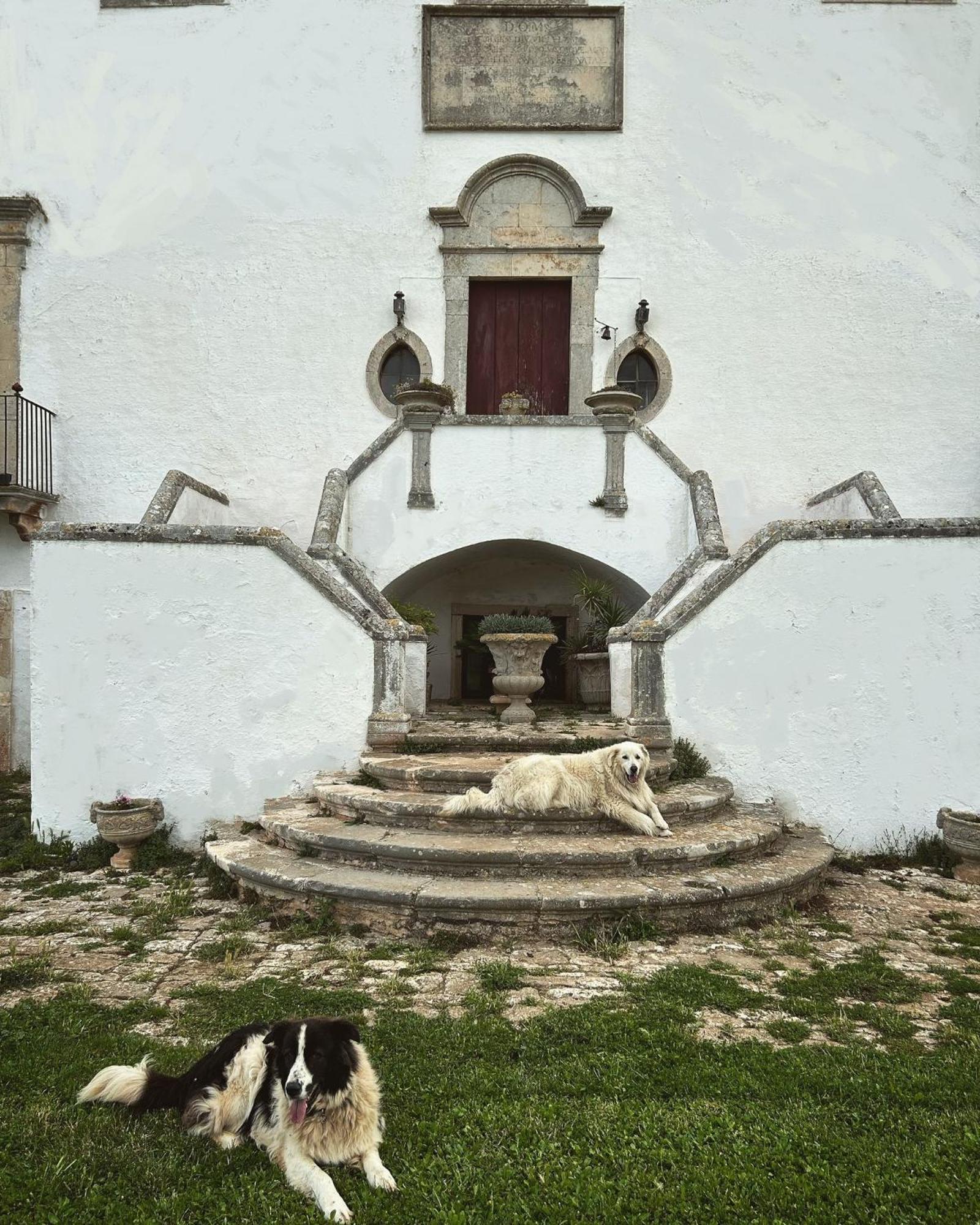 Masseria Murgia Albanese Noci Zewnętrze zdjęcie