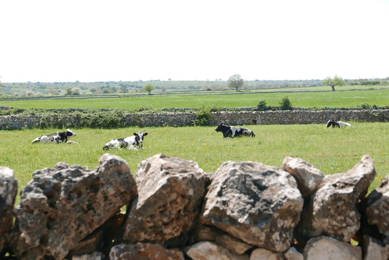 Masseria Murgia Albanese Noci Zewnętrze zdjęcie