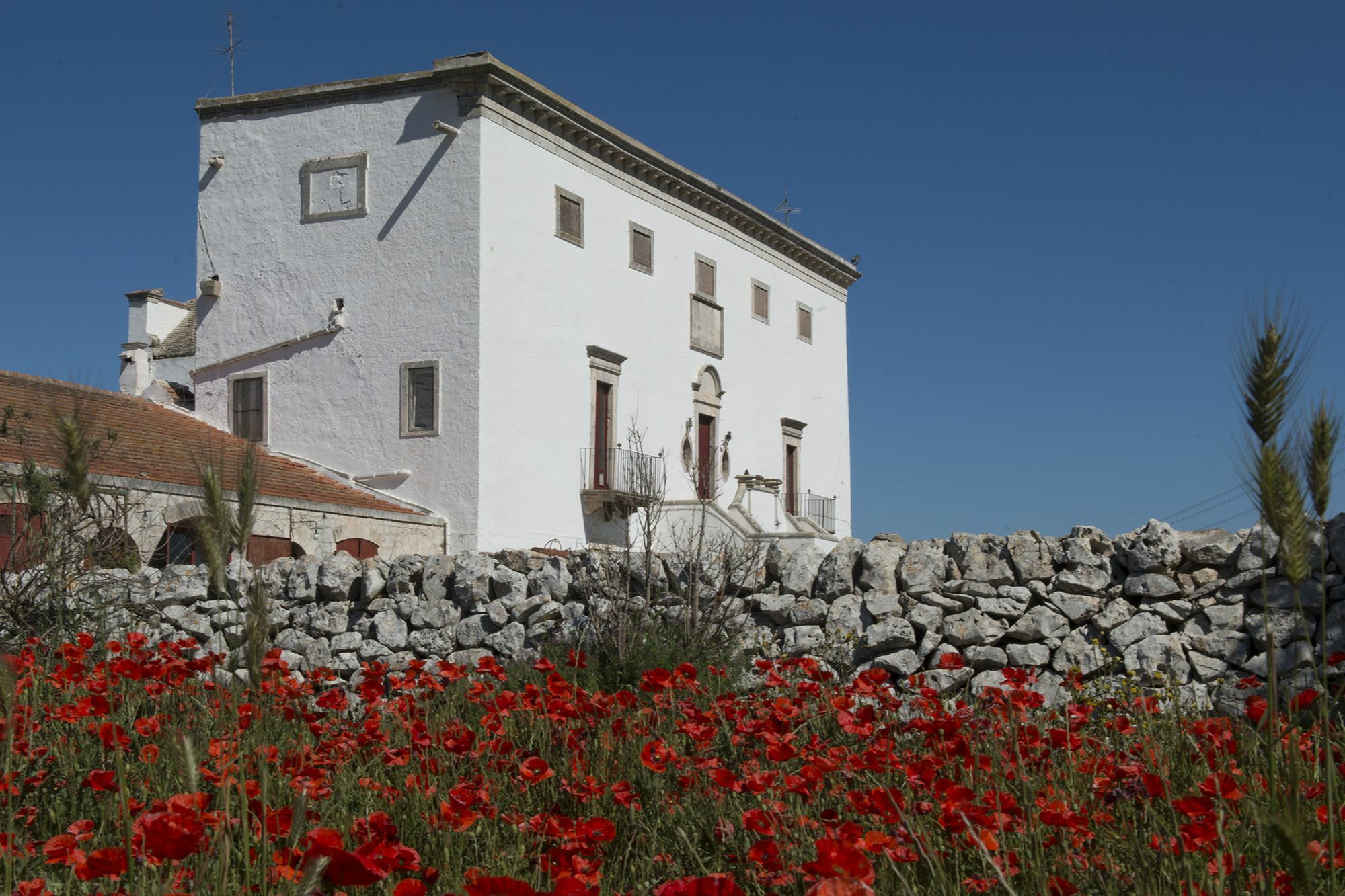 Masseria Murgia Albanese Noci Zewnętrze zdjęcie
